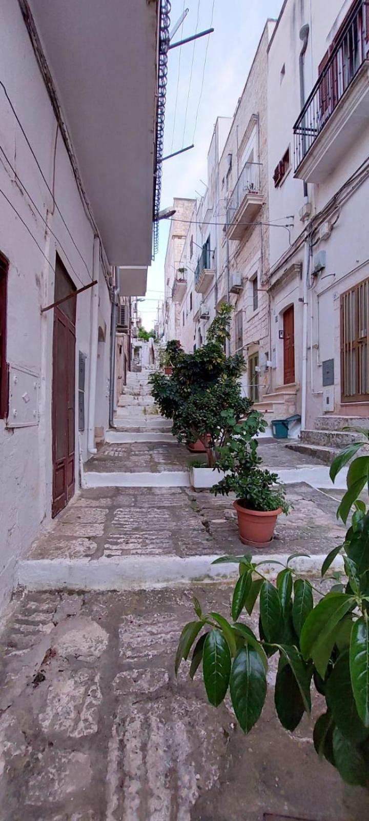 Vico Anglani Guest House Остуни Екстериор снимка